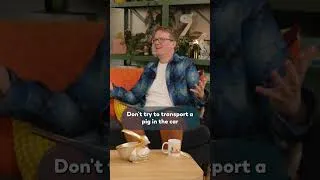 Thumbnail: Hank Green's Pig Impression