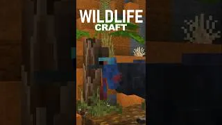Thumbnail: WildlifeCraft's Australia & Beyond