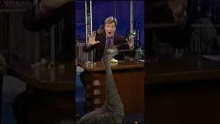 Thumbnail: Lemur vs. Crane