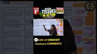 Thumbnail: 🔥 Tissues in Action | Class 9 Science Chapter 3 | NCERT 2026-27 #conceptcorridor #tissues