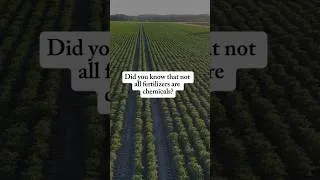 Thumbnail: What are Biofertilizers