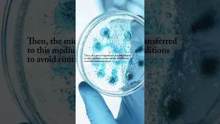 Thumbnail: Cultivation of Microorganisms | #microorganisms #biology #viruss #bacteria