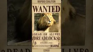 Thumbnail: Mapogo Coalition Weakest To STRONGEST (Bounty Edition)