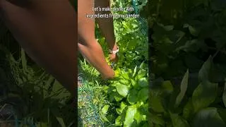 Thumbnail: From my garden to my table. #gardenlife #garden #freshfood