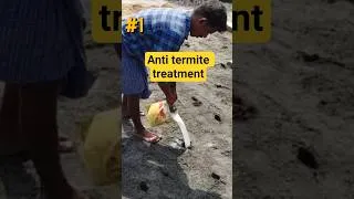 Thumbnail: Anti Termite Treatment for your house premise SC  #basement #termite #construction