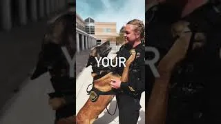 Thumbnail: She’s Got Your Six! - #CCCSO