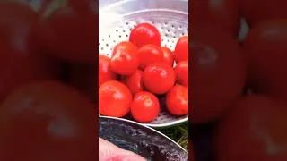 Thumbnail: Pickled Tomatoes - Country Life