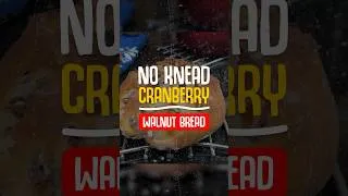 Thumbnail: THE MOST DELICIOUS NO KNEAD CRANBERRY WALNUT BREAD #nokneadbread #shorts #recipes #cranberrywalnut