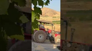 Thumbnail: Traditional Iranian Cooking in a Village | Real Life in Iran 🇮🇷🔥#nomadicfamily #rurallife #iran