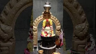 Thumbnail: Nag Panchami 2026 #ShravanSomwar #harharmahadev #shivshakti #omnamahshivaya #shivtemple #ytshorts