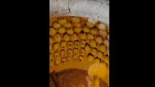 Thumbnail: The BEST STREET FOODS. CHITIR CHITIR GREEN SAMOSA Uzbek GIANT FOOD FACTORY.