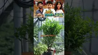 Thumbnail: ఇలా కూడా పని చేస్తుందా బెల్ట్ 😂 #telugucomedy #comedy #telugushorts