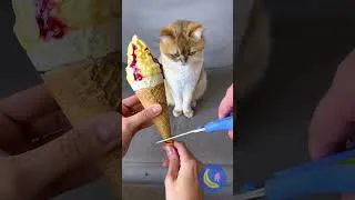 Thumbnail: One Small Piece Was Not Enough for Her