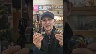 Thumbnail: Every Reptile Keeper Needs This Product ! #reptilekeeper #reptilekeeping #reptiles #reptilelife