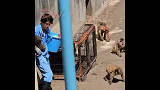 Thumbnail: Today I Went to See Punch