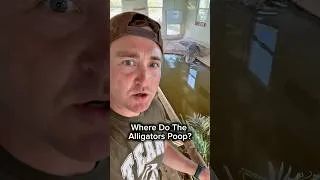 Thumbnail: Where Do Alligators Poop? 🤔🐊💩#shorts #alligator