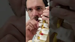 Thumbnail: The Truth About Aging and Back Pain