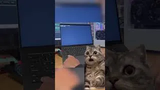 Thumbnail: Why Ctrl-C terminate programs?
