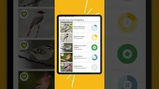 Thumbnail: You don't have to be plagued by the difficulty of species identification anymore. Get wise BirdWise!