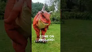 Thumbnail: Come on England! Three Dinosaurs, one football, ENGLAND fever in full roar! Paradise Park, Cornwall