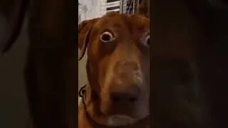 Thumbnail: yo cuando al hechizo (mi único amigo) le crecen alas :(