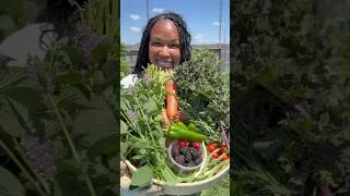 Thumbnail: Homegrown Just Hits Different #mybackyardgarden #springgarden #homegrown