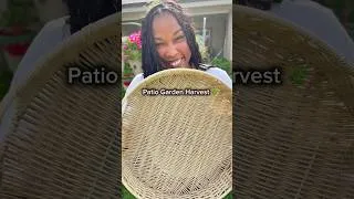 Thumbnail: Watch What I Harvest from My Patio Garden 🌿 #backyardgarden #springgarden #gardenharvest