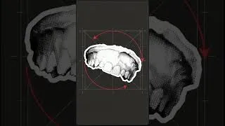 Thumbnail: Ted Bundy Trial Explained | How the Jury Weighed the Evidence