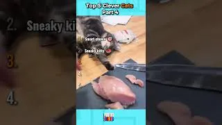 Thumbnail: Top 5 Clever Cats  Part 4