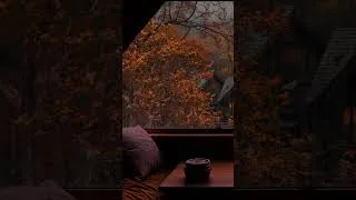 Thumbnail: Autumn Rain on Window with Fireplace Sounds for Sleep  #relax #rainsounds #shorts #fireplace #asmr
