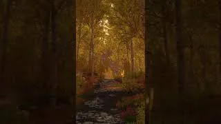 Thumbnail: I'm ready for Autumn 🍁🍂 ~ #moddedskyrim #skyrim #skyrimambience #cozygames