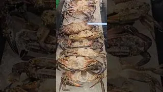Thumbnail: What kind of Blue Crabs are these?  Why not just sell the Atlantic or Gulf Blue Crabs?  Rowes IGA...