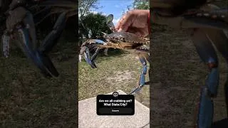 Thumbnail: Have you began your crabbing season? #crab #crabbing #fishing #florida #floridafishing #floridalife