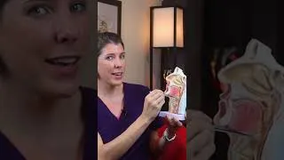 Thumbnail: If your loved one coughs a lot after drinking, it's time to see a Speech Therapist...
