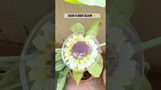 Thumbnail: How to make this beautiful yellow Resin flower bloom #resinart #shorts