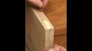 Thumbnail: Simple Ways to Seamlessly Fill Gaps in Wood Projects