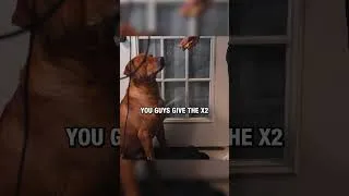 Thumbnail: My Dog got Hungry while i was Building a Gaming PC #pcbuilding #pcgaming #pcbuild #gamingpc