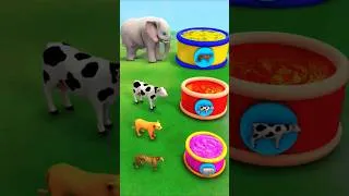 Thumbnail: Choose The Right Color With Cow Elephant Tiger 3d Funny Animal Game #shorts #animals