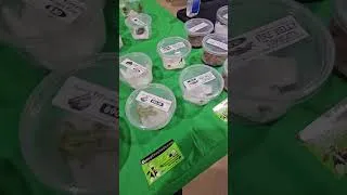 Thumbnail: Baltimore Repticon 1/18/2025
