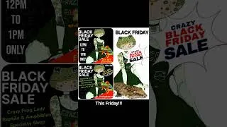 Thumbnail: November 25, 2024