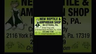 Thumbnail: October 14, 2024