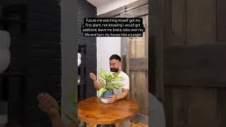 Thumbnail: Your future plant life! #plantlover #houseplants #indoorjungle