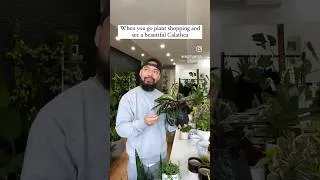Thumbnail: Plant Shopping Triggers. #plantshopping #plantlover #plantlife