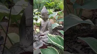 Thumbnail: Beyond the garden steps #gardentransformation #gardendelight #gardeninspiration #garden #gardening