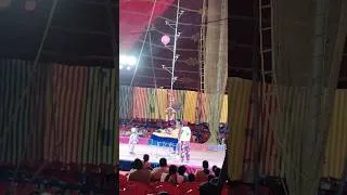 Thumbnail: 💥💥Bombay Circus 🎪.. #shorts #salem #reels #bombay #circus #shortsfeed #viral #trend #dance #love
