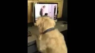Thumbnail: Dog Models watch Vicki Taufer on cL