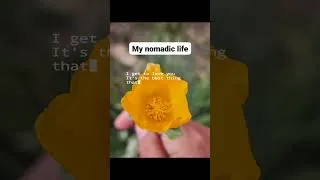 Thumbnail: I LOVE My Nomadic Life!