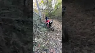 Thumbnail: I fell into a Bigfoot nest! #shorts