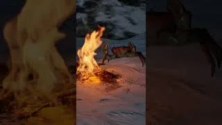 Thumbnail: Halo Campaign Evolved Haz a Crab Problem  #halo #halocampaignevolved