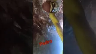 Thumbnail: Pedro = the Greek word for rock. My #swim is under 20m of rock! See www.creteswim.com #shorts #crete